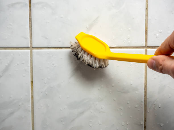 Best Best Mold Removal Companies  in Ukiah, CA