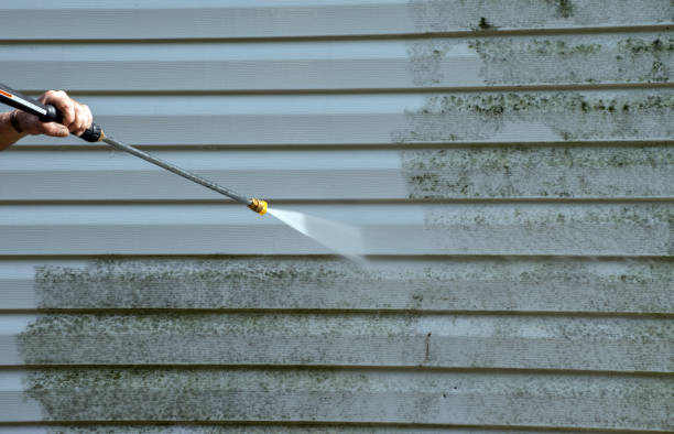 Best Mold Cleaning Services  in Ukiah, CA