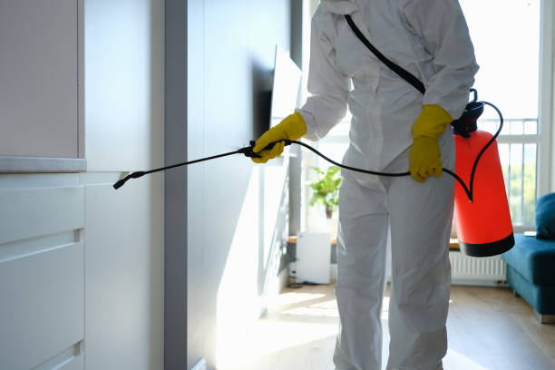 Best Mold Testing  in Ukiah, CA