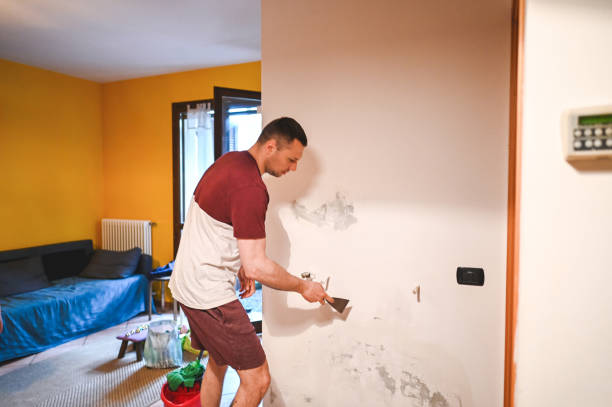 Best Black Mold Removal  in Ukiah, CA